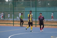 DSC07649