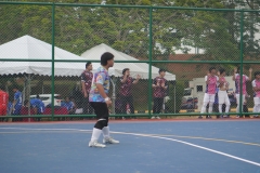 DSC07654